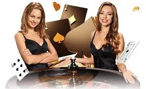 kc222 Sportsbook Markets