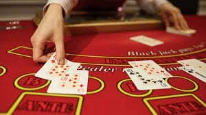 kc222 Sportsbook